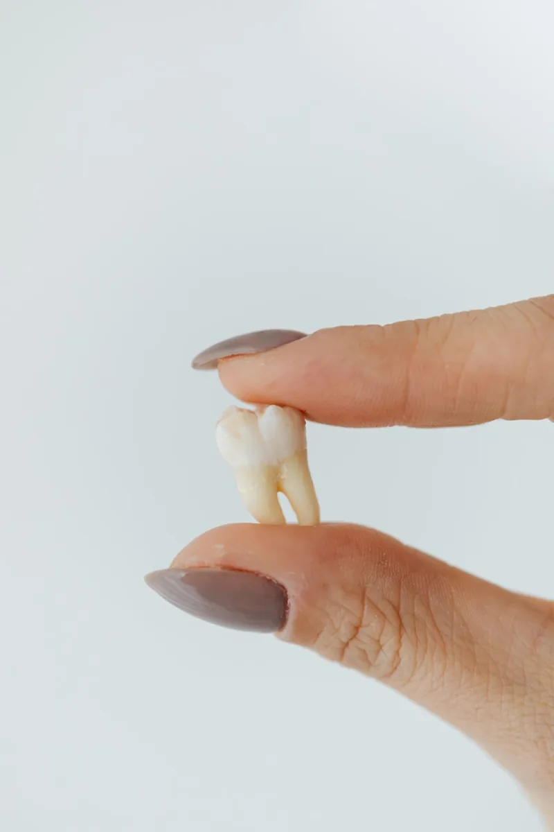 Illustrative close-up of a single extracted tooth held between finger and thumb